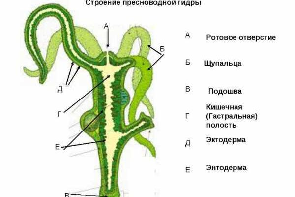 Кракен маркет даркнет speed up