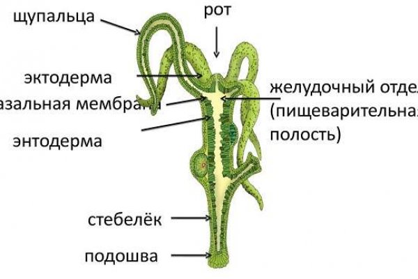 Ссылки на кракен at