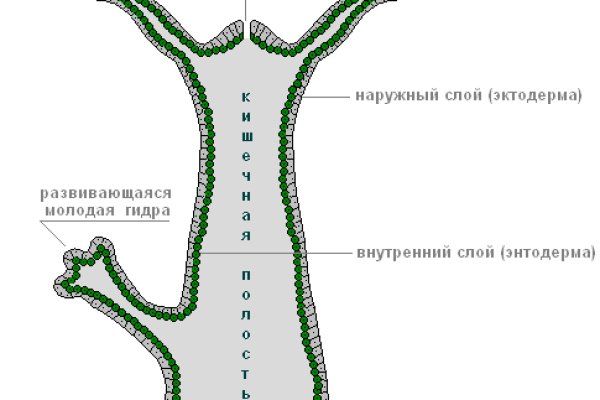 Кракен зеркало на сайт